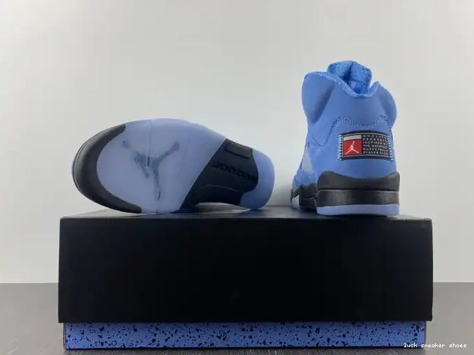 Rep LUCY 5 Jordan UNC DV1310-401 Air 0508